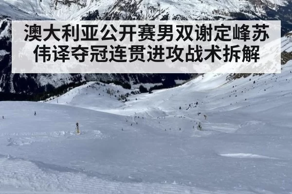 澳大利亚公开赛男双谢定峰苏伟译夺冠连贯进攻战术拆解 | leyu