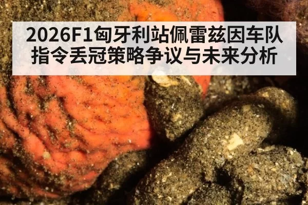 2026F1匈牙利站佩雷兹因车队指令丢冠策略争议与未来分析