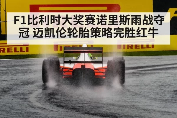F1比利时大奖赛诺里斯雨战夺冠 迈凯伦轮胎策略完胜红牛